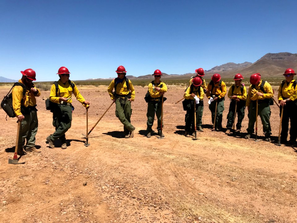 Wildland firefighters for the Gila District