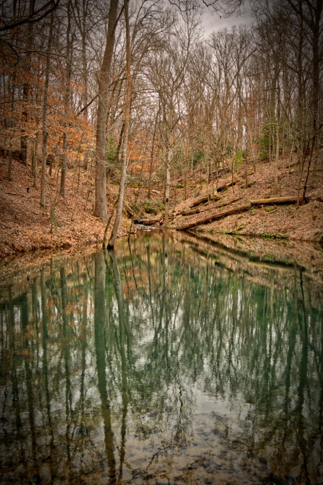 Crystal Bridges Museum Art Trail