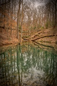 Crystal Bridges Museum Art Trail photo