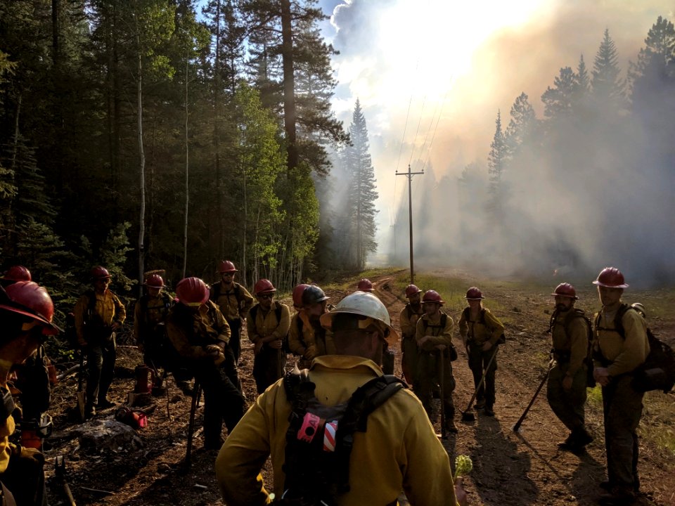 Safford Hand Crew at Castel Fire