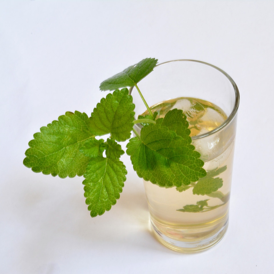 Balm drink health