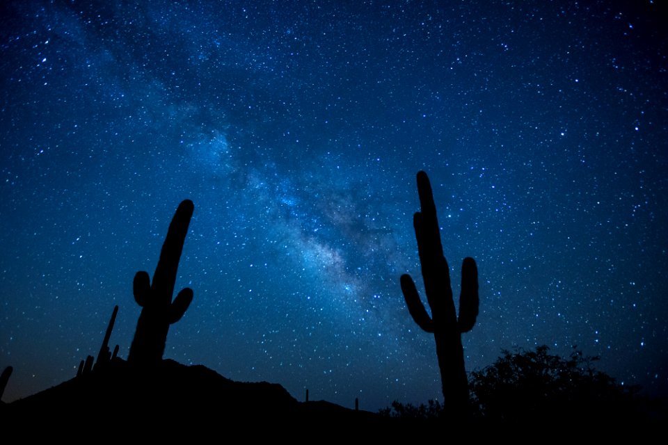 Sonoran Desert National Monument