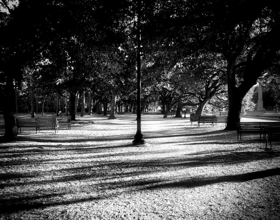Hermann Park, Houston