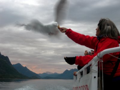 Norvegia - Isole Lofoten Luglio 2011