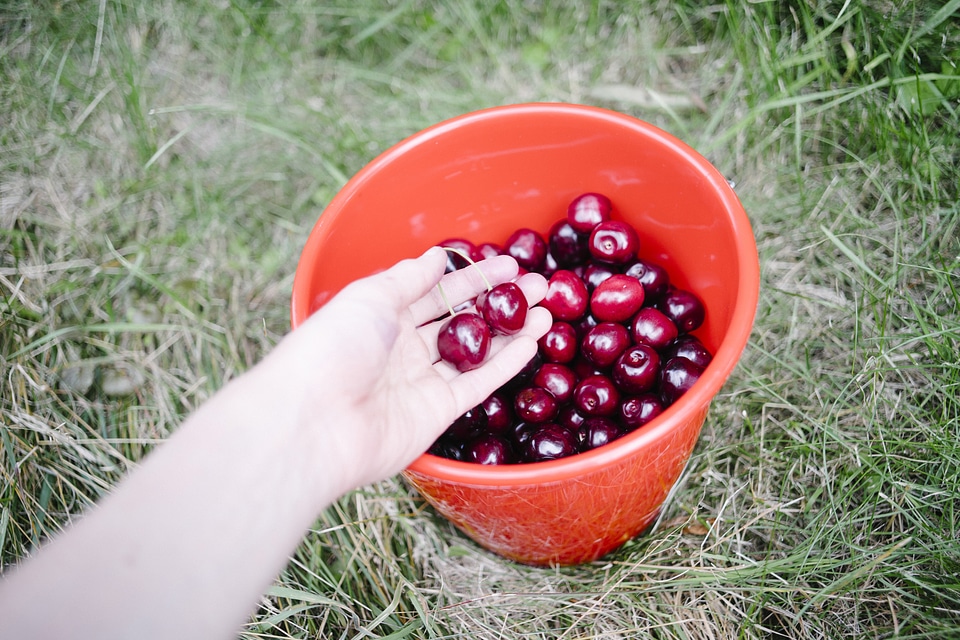 Fruits healthy food