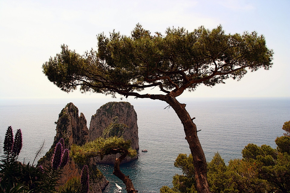 Cliff water nature