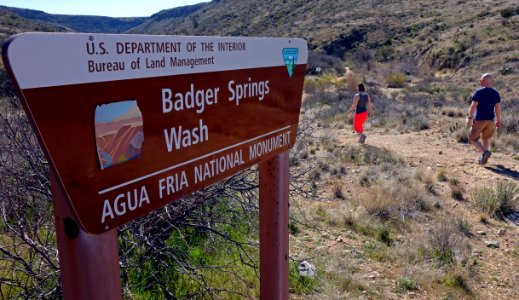 Badger Springs Wash