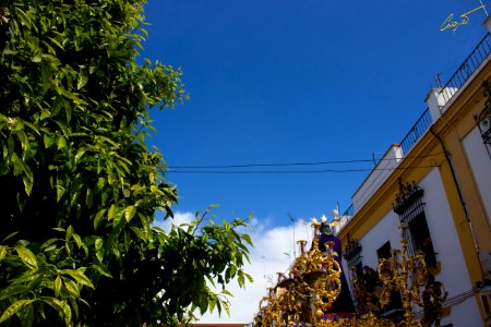 Ntro. Padre Jesús Cautivo en el Abandono de sus Discípulos. Hermandad de Santa Genoveva. Lunes Santo 2016. Sevilla