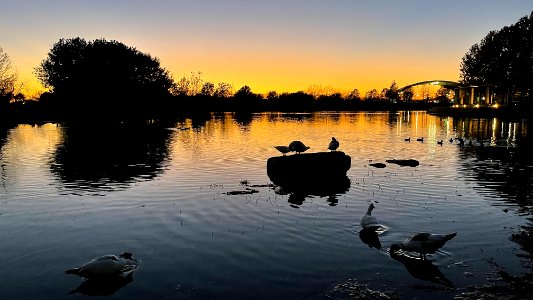 Lake Mueller, Austin TX photo