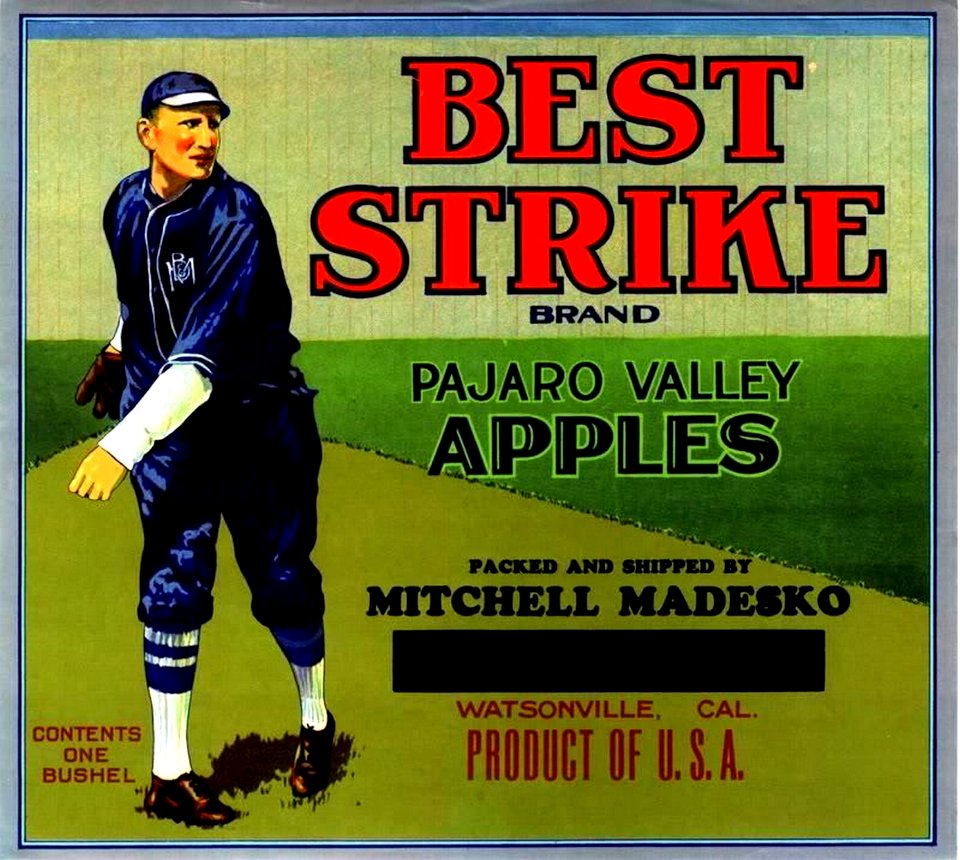 1920  BEST STRIKE BRAND APPLE CRATE LABEL ART WATSONVILLE CA