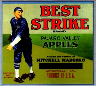 1920  BEST STRIKE BRAND APPLE CRATE LABEL ART WATSONVILLE CA