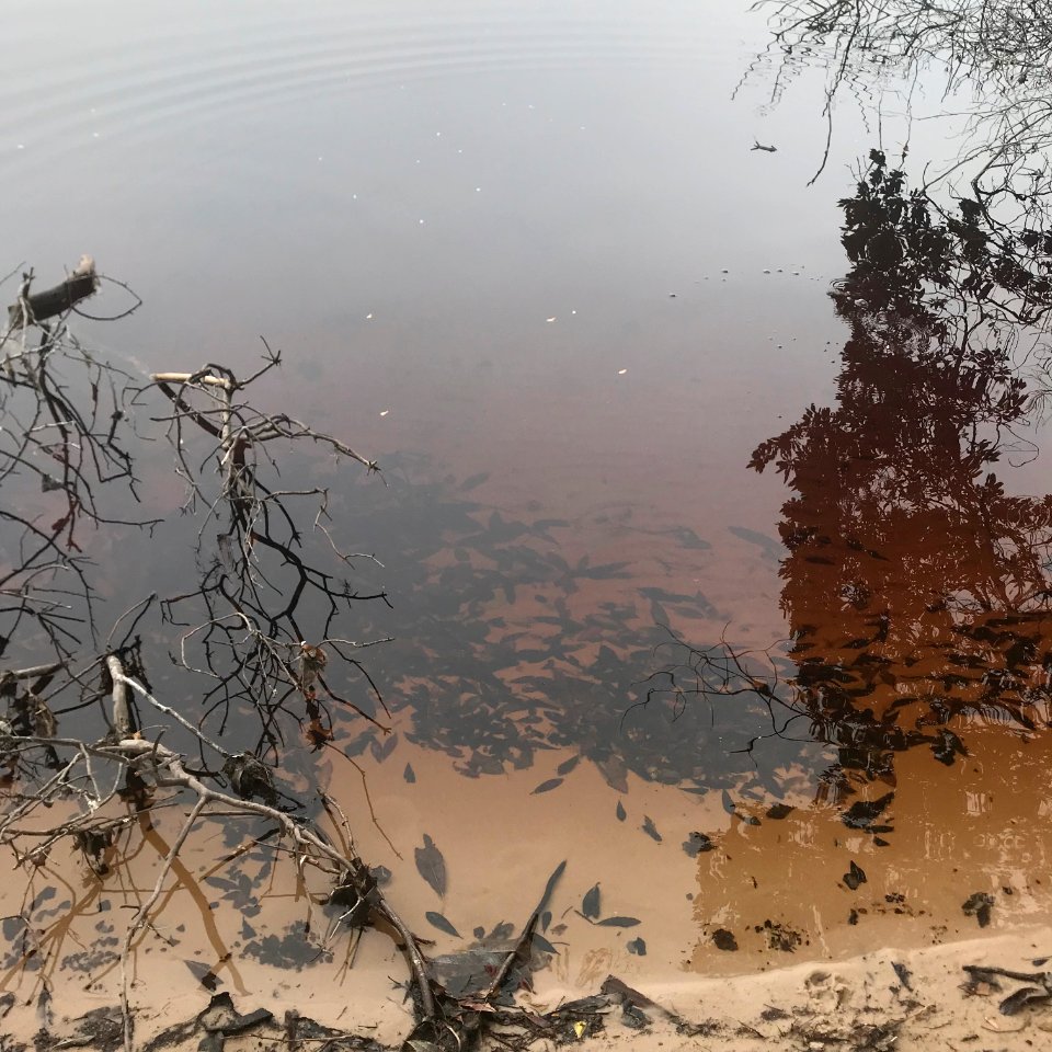 Jones Lake State Park
