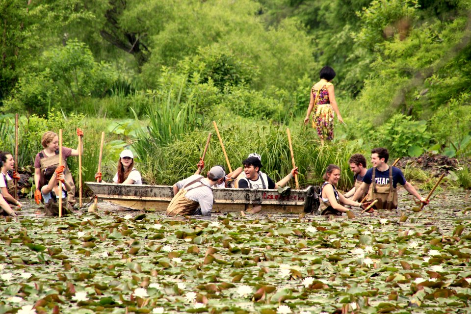 Kenilworth Aquatic Gardens