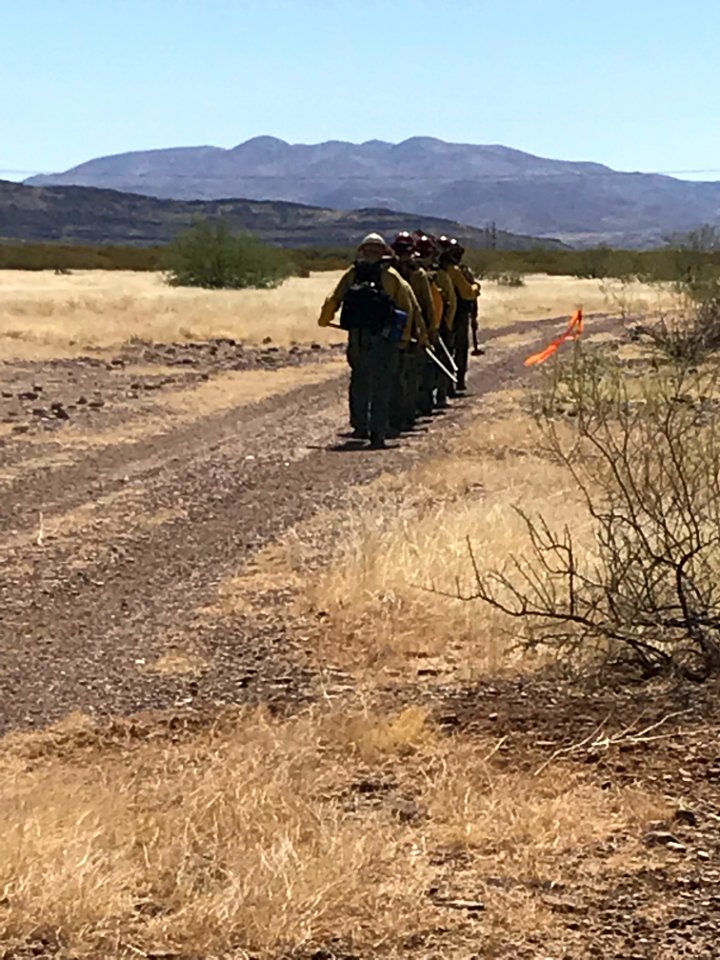 Wildland firefighters for the Gila District