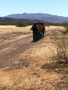 Wildland firefighters for the Gila District