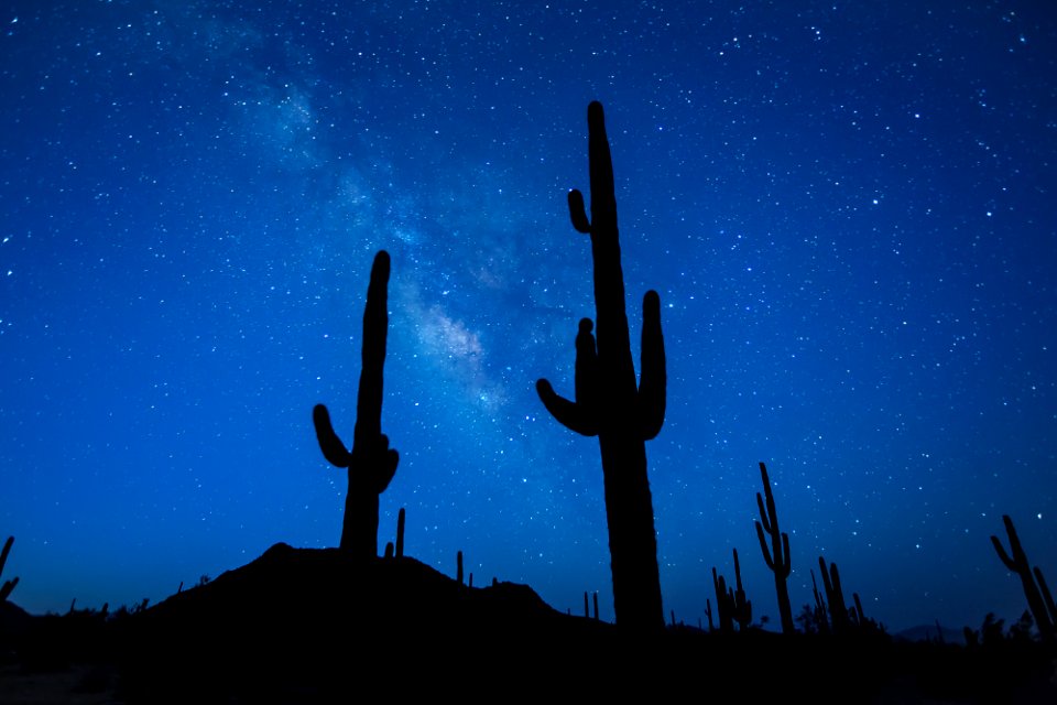 Sonoran Desert National Monument