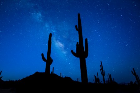 Sonoran Desert National Monument
