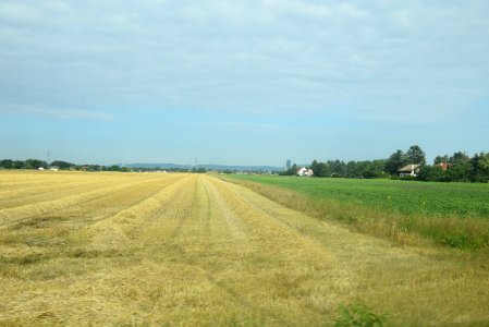2016 Marchfeld 12