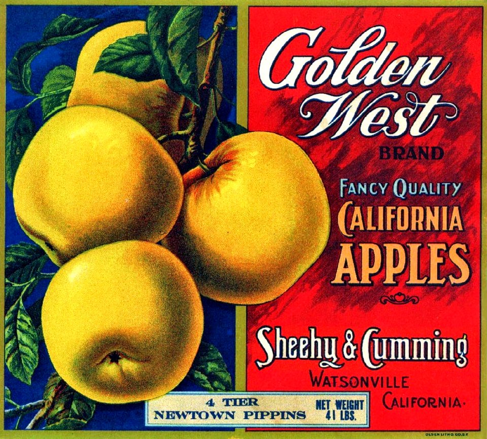 1910s c Golden West Brand California Apples