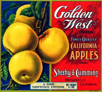1910s c Golden West Brand California Apples