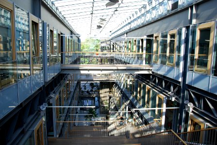 SchwackhoeferH 2009 07