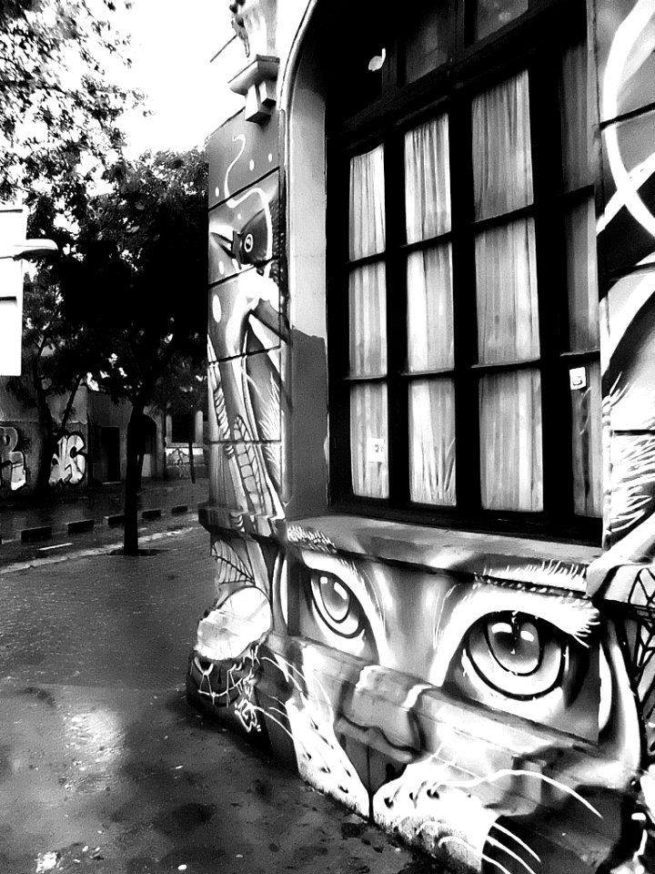 Santiago de Chile