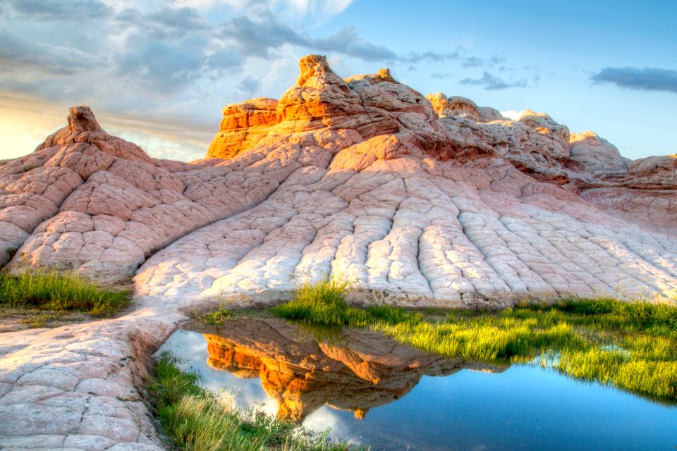 Vermilion Cliffs National Monument - Paria Canyon - White Pocket with pool and vegetation