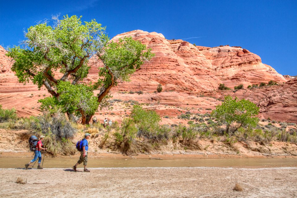Vermilion Cliffs National Monument