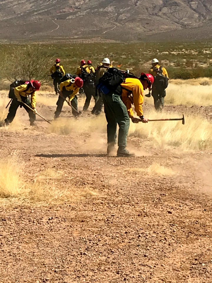 Wildland firefighters for the Gila District