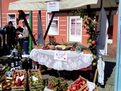 Dani voća 8 Đurđevac