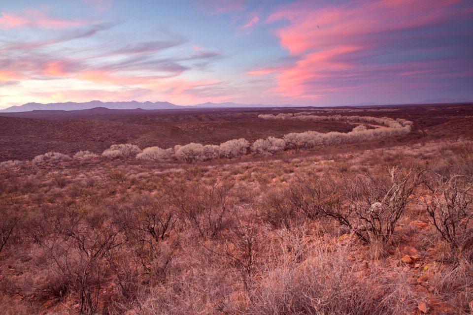 San Pedro Riparian National Conservation Area