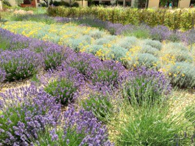 2016 Jun Provence 400