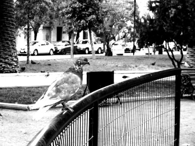 Santiago de Chile