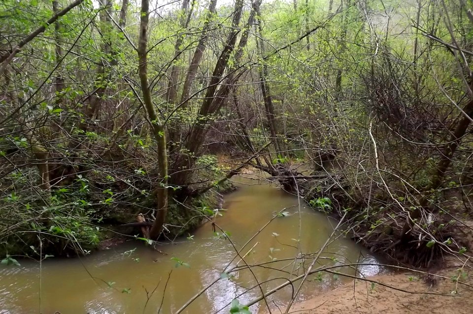rivière de Lataillade