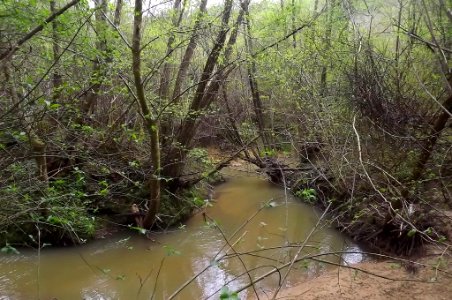 rivière de Lataillade