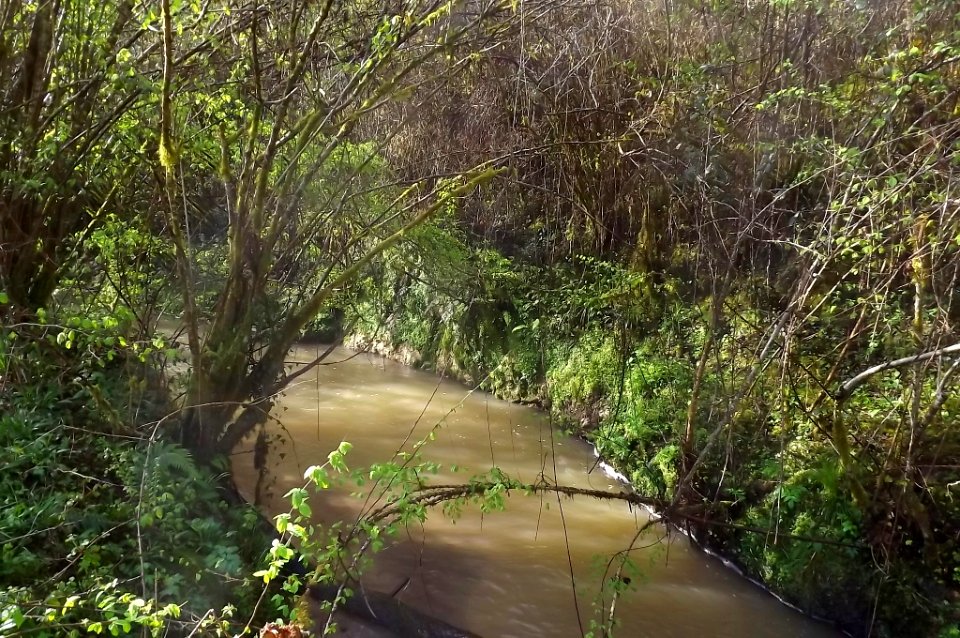 rivière de Lataillade