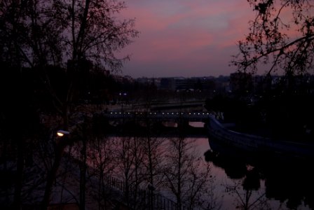 Cielo rosado
