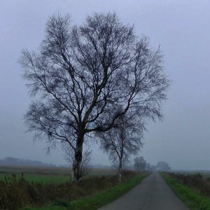 Heimat (Ostfriesland)