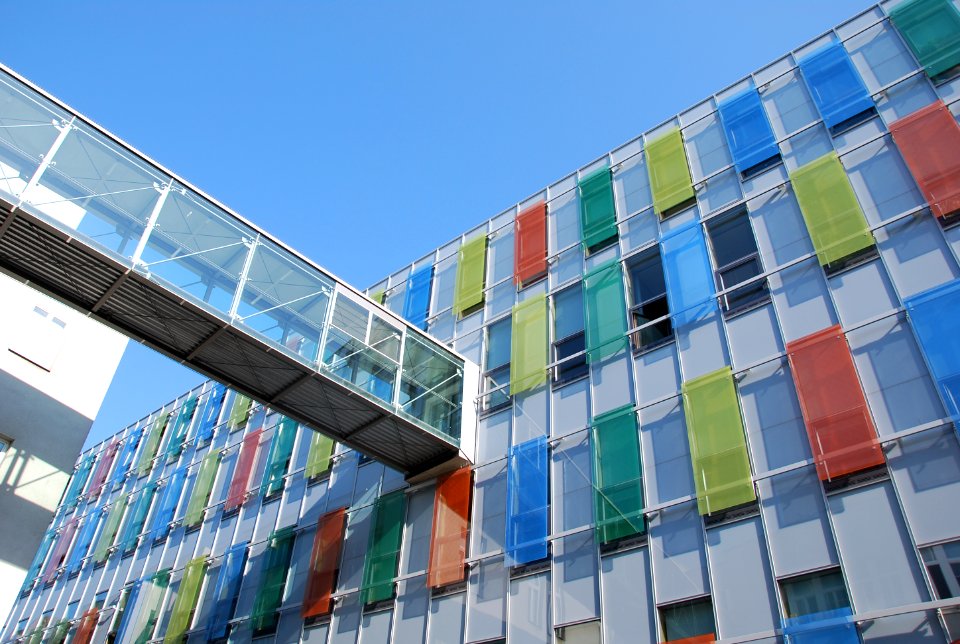 SchwackhoeferH 2009 17
