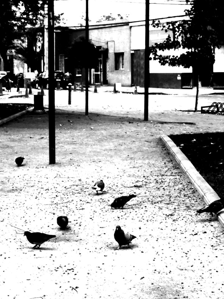 Santiago de Chile