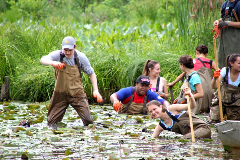 Kenilworth Aquatic Gardens