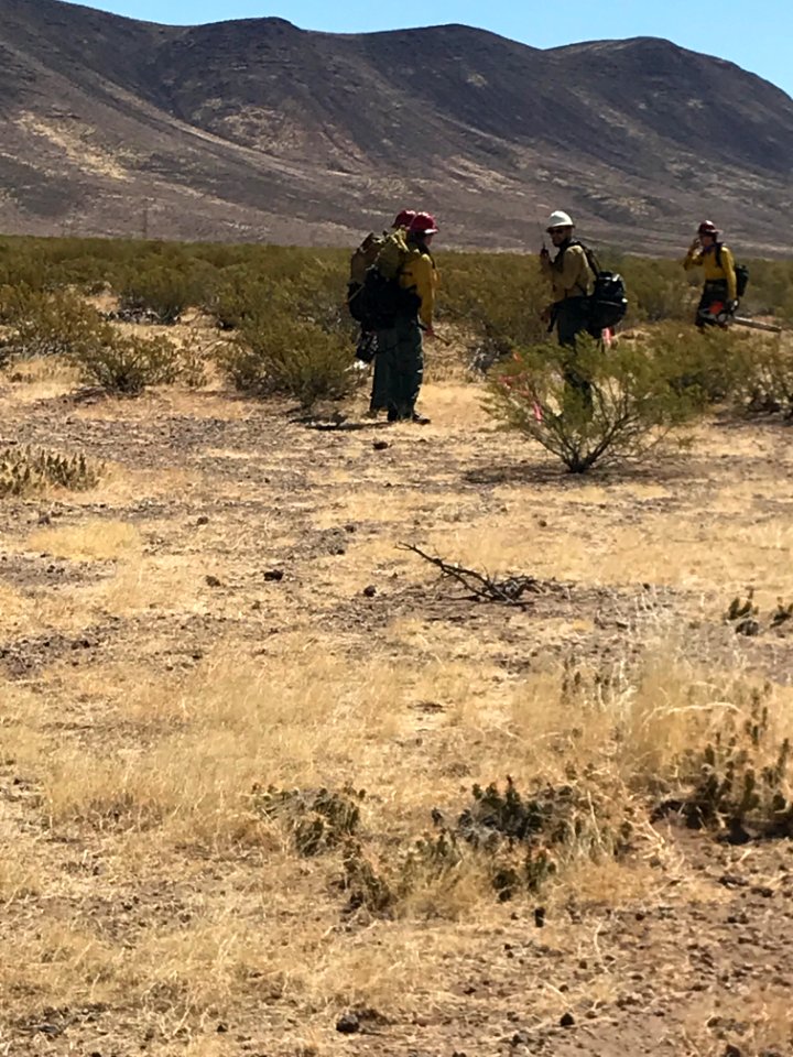 Wildland firefighters for the Gila District