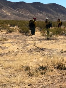 Wildland firefighters for the Gila District