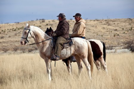 Las Cienegas National Conservation Area
