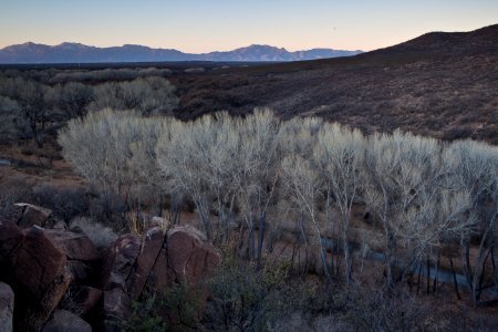 San Pedro Riparian National Conservation Area