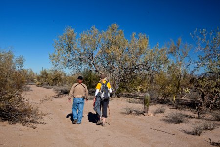 Ironwood Forest National Monument photo