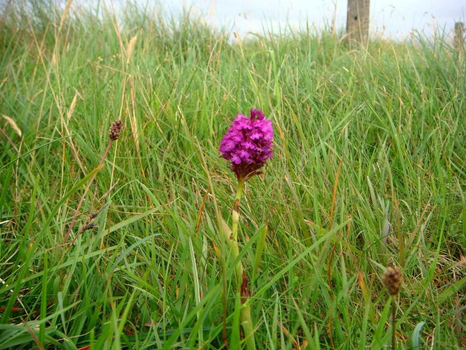 Rosses Point, Co. Sligo