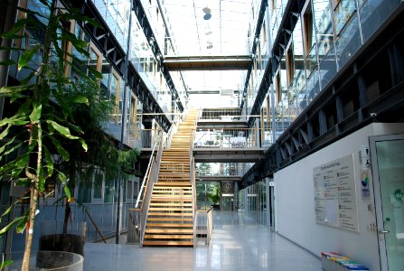 SchwackhoeferH 2009 05