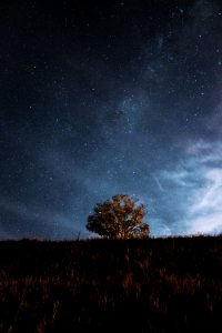 Stars