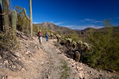 Arizona National Scenic Trail